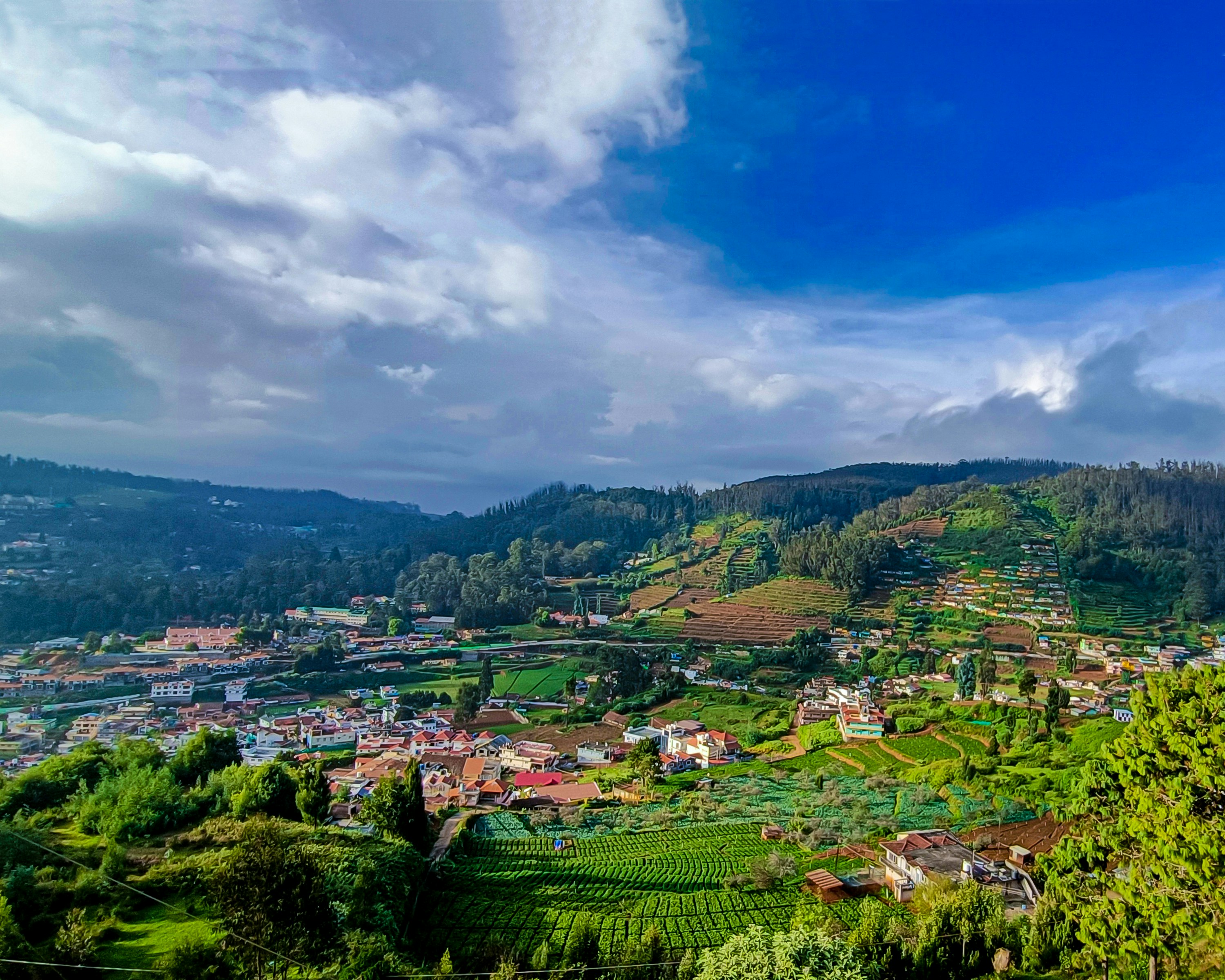 Ooty – Blue Mountains