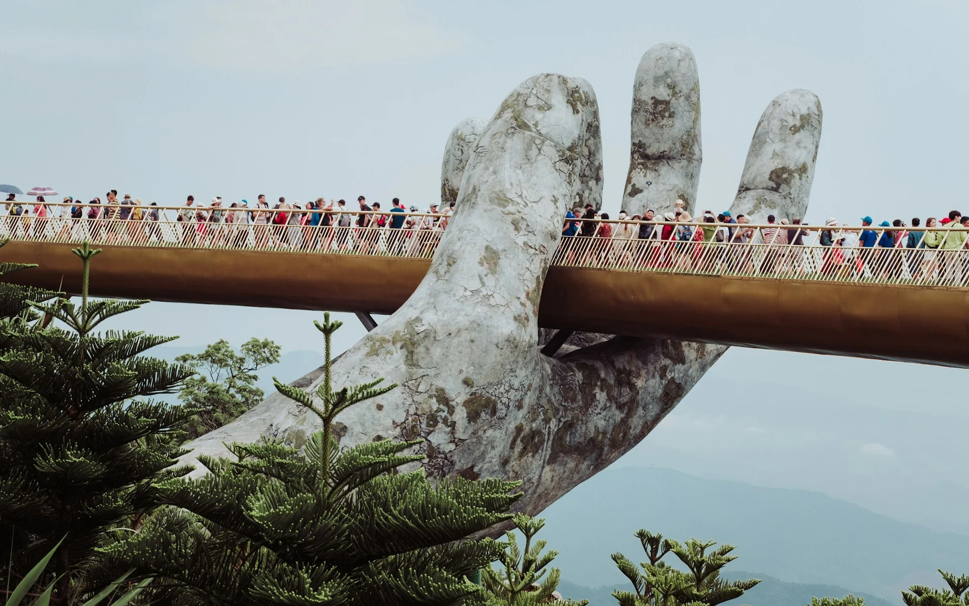 Timeless Beauty of Vietnam